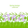 Snowdrop, crocus seamless background. White, violet spring flowers